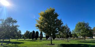 Beautiful Lower Unit in Duplex on Marcum Park Downtown!!!! Gallery 12