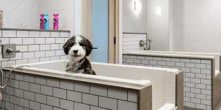 Hanover Riverwalk Gallery 24