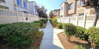 44011 Rivo Court Gallery 29