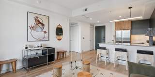 Stella at Star Metals Gallery 16