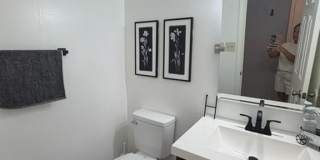 4614 Fern Oak Court Gallery 7