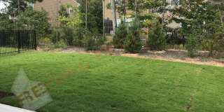 Stunning 5 Bedroom 3.5 Bath Home with 2 Car Garage and 1st Floor Guest Suite in Reunion Pointe, Apex! Available June 7th! Gallery 23