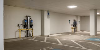 Alexan Florence Gallery 51