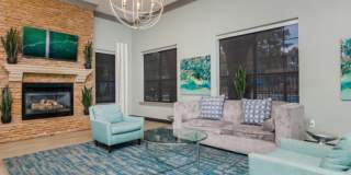 Lory of Tallahassee Gallery 14