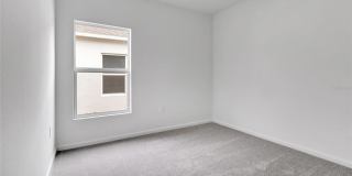 275 PUMA LOOP Gallery 23