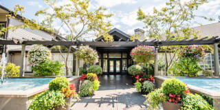 Signature Pointe Gallery 29