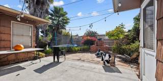 No back house! Gallery 1