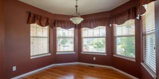 5 Bedroom Home in Windsor Colorado Gallery 19