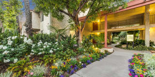 Village Pointe Gallery 14