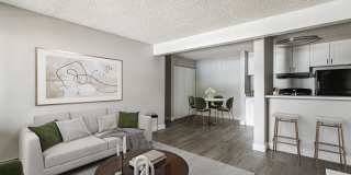 Park at Palmer Gallery 102