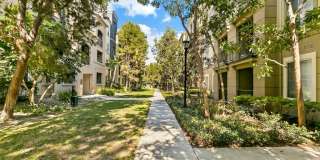 2212 Watermarke Gallery 24