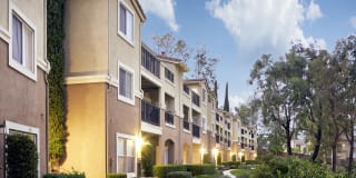 Alta Vista Gallery 16