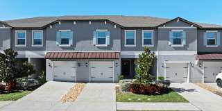 10373 Lavender Aster Trl Gallery 1