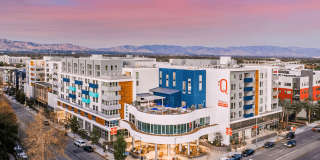 The Q Variel Gallery 25