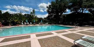 MOVE IN NOW!! Gated community Miriada! 1st floor 1X1.5 bath condo near pool area!!! Laminate wood flooring in living area and carpet in bedroom! Has washer & dryer! Gas stove & water heater! Gallery 36