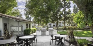 Breve Park Gallery 22