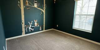 13009 Majestic Garden Lane Gallery 18