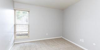 Tivoli Apartments Gallery 3