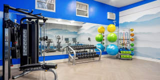 ReNew on Temple ReNew on Temple Gallery 23