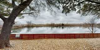 Lake Breeze Gallery 5