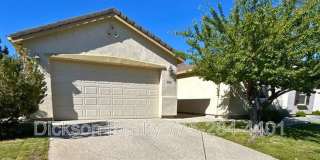10687 Fire Poppy Circle Gallery 1