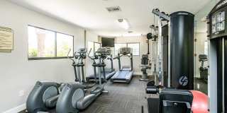 Solana Vista Gallery 13