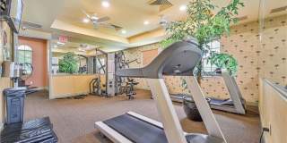 4121 Residence Drive# 311 Gallery 15