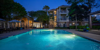 Westchase Forest Gallery 21