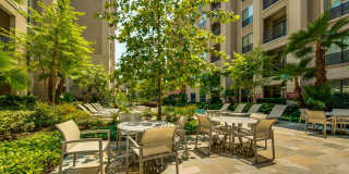 2900 West Dallas 2900 West Dallas Gallery 21