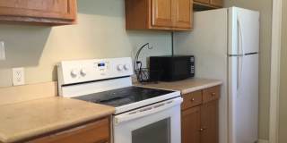 4 bedroom home close to UNR Gallery 6