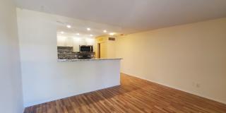 Maybury Mansions Gallery 9