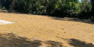 3 bed 2 bath 1 Carport $995/month Gallery 7