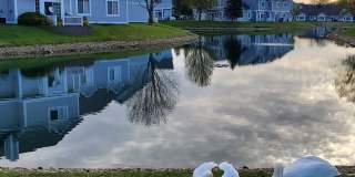 Crystal Bay Townhomes Gallery 13
