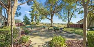 1446 Chateau Cmn unit: 104 Gallery 18