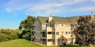 Avana Southview Gallery 55