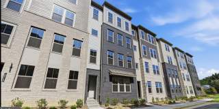 19714 MISTY MOSS Square Gallery 1