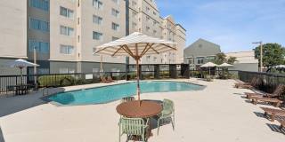 The Ainsley Gallery 25