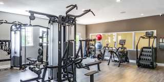 Polo Park Gallery 30