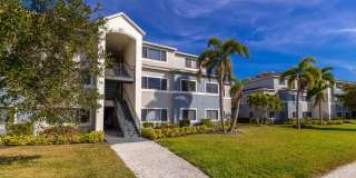 Lexington Palms at the Forum Gallery 36