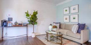 Las Ventanas Gallery 4