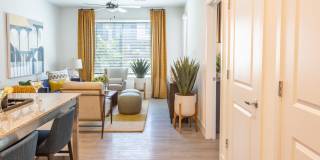 The Isabella Gallery 13