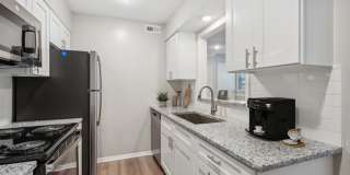 Lake Johnson Mews Gallery 26