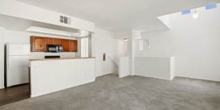 Venicia Gallery 71