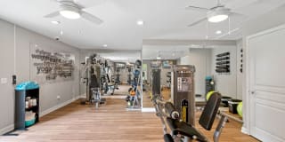 Hawthorne at the Hall Gallery 4