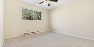 Two bedroom updated paint, carpet washer/dryer included in unit - Immediate Move In Gallery 9