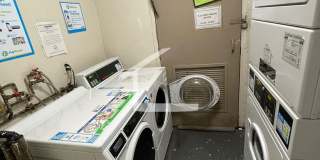 Amazing apartment in Allston Gallery 10