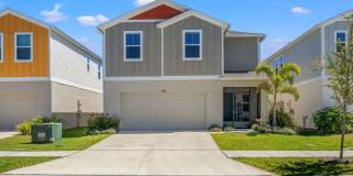 Greater Tampa Living in Wesley Chapel!! Gallery 1
