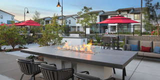 The Strand Gallery 25