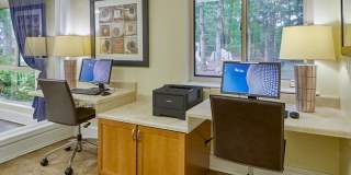 Reston Glade Gallery 22