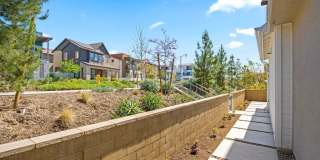 430 Lobata Gallery 3